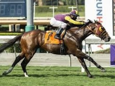 Preview: Breeders' Cup Turf Sprint 2020 (Horses, Race Info,  ... Image 2